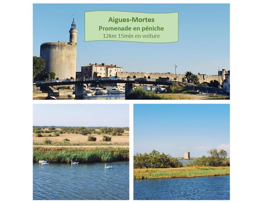 L'Olympe Vue Lac Parking Clim Wifi - Rossiconciergerie - Linge Inclus Ла Гранде-Моте Екстериор снимка